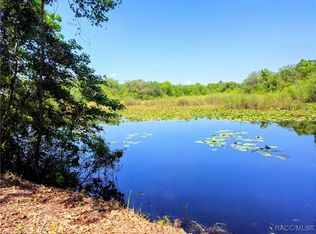 7003 E Grass Ct, Inverness, FL 34453