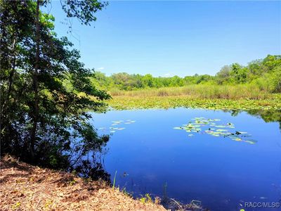 7003 E Grass Ct, Inverness, FL, 34453