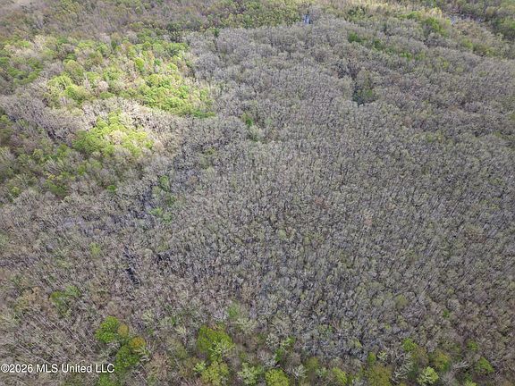 4th image of 50556 Greenwood Springs Rd