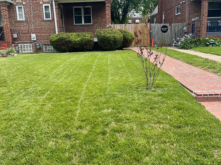 3941 Alabama Ave SE — Photo 6