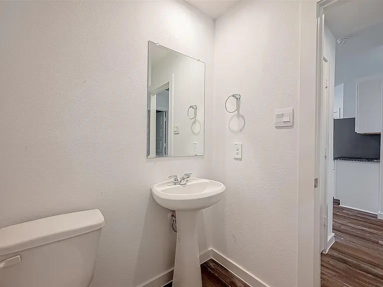 1018 Fringed Bluestar Dr — Photo 33