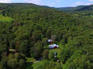 260 Dibble Rd, Andes, NY 13731