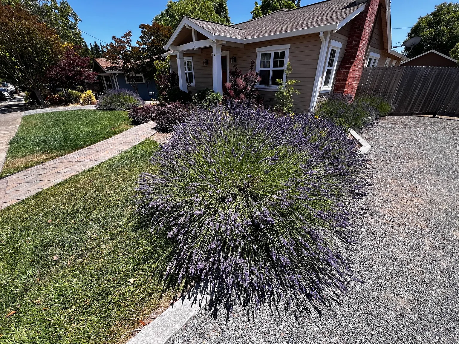 3 bed, 2000 sqft, $3,000 — Photo 1