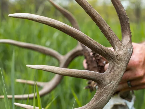 0 Schroeder Ln, Shipman, IL 62685