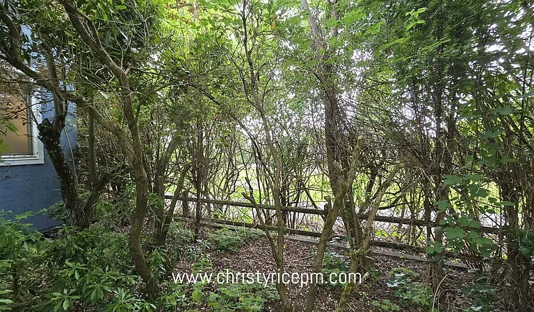 15406 SE 46th Way — Photo 28
