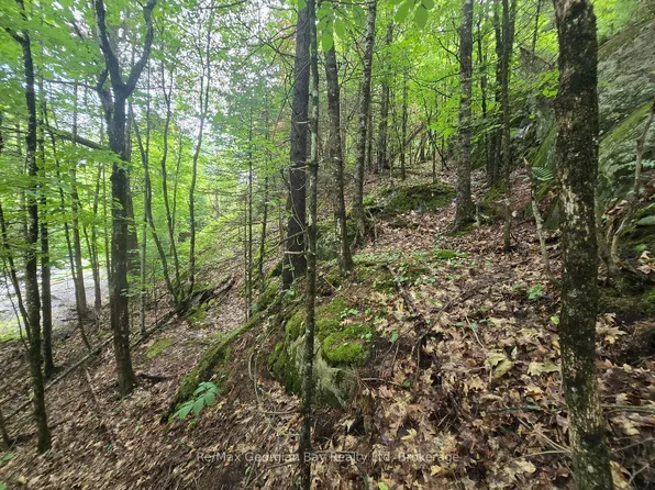 107 Balsam Chutes Rd, Huntsville, ON P0B 1L0