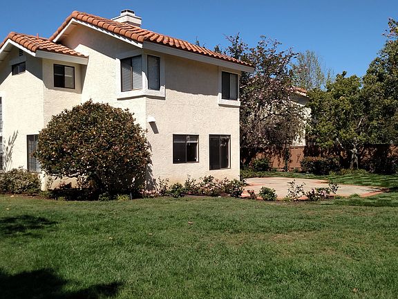 Spacious and lush yard