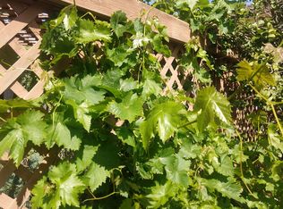 2612 Galicia Way, Carlsbad, CA 92009