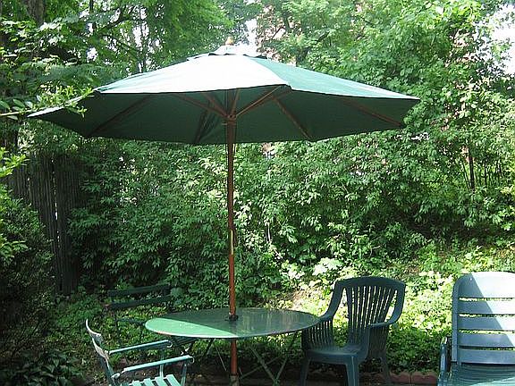 back yard patio and garden