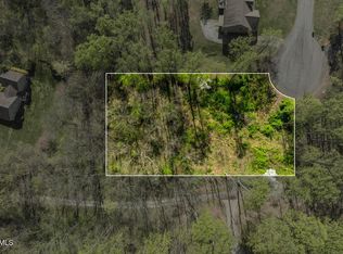 310 Mitchell Ct, Jonesborough, TN 37659