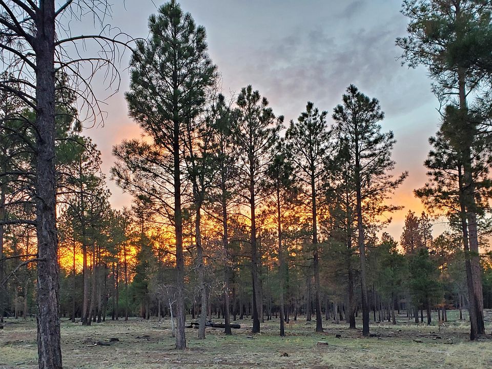 1st image of 7770 Forest Service 122 Rd