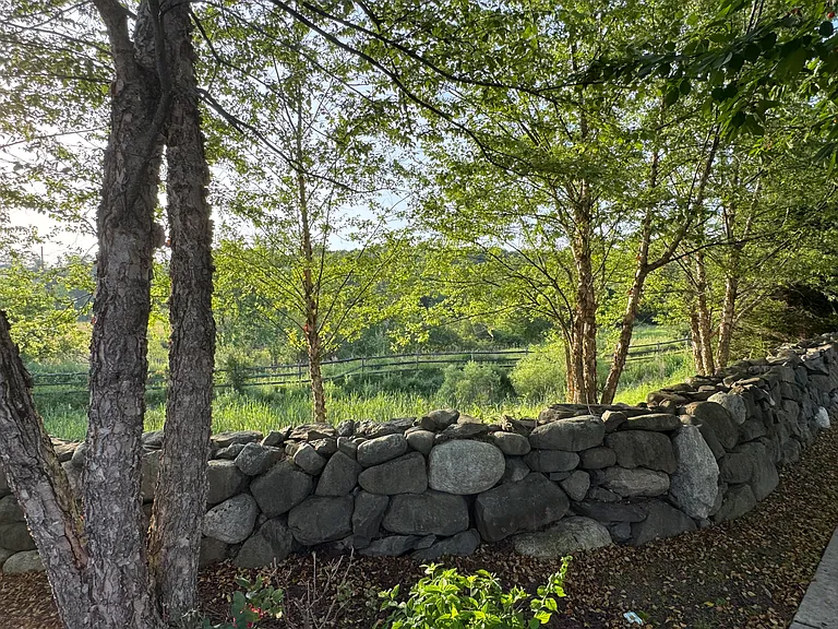 127 Meadow View Dr — Photo 27
