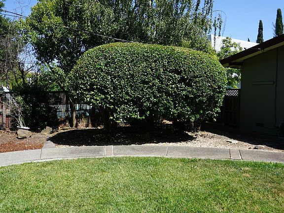 5th image of 242 Bergwall Way