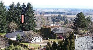 Property view w/trees