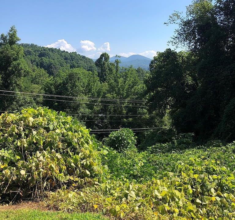 2nd image of 00 Jenkins Branch Rd Lot Na