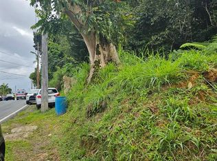 Bo Mulas Parc B Carr 179 Kmhm 20.9, Aguas Buenas, PR 00703