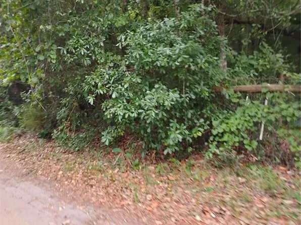 NE 146th Pl #11, Fort Mc Coy, FL 32134