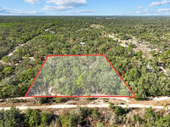 000 NE 130th Ave, Bronson, FL 32621