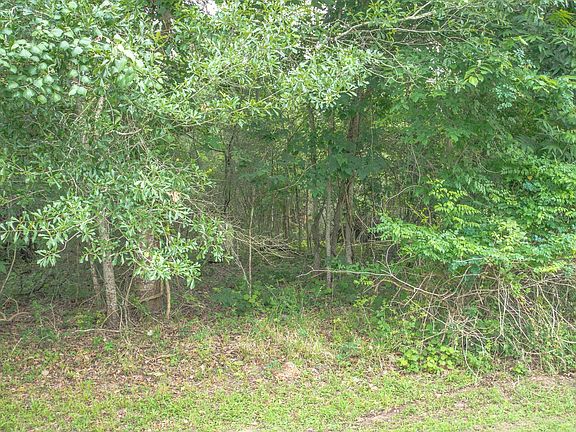 4th image of 1015 W Point Dr