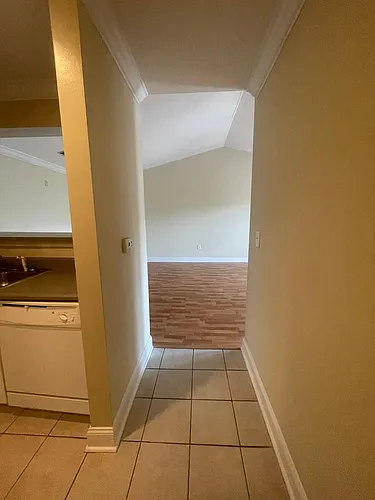 3708 Spruce Ridge Way Photo 1