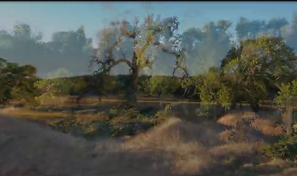 2nd image of 200 Blanco Oak Rd