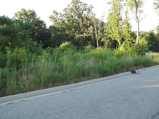 1st image of Parkhill Ln Lot 44