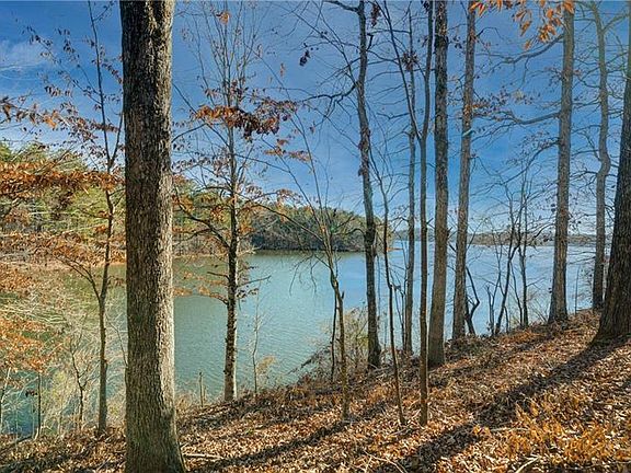 2nd image of 691 Moccasin Gap Rd #3