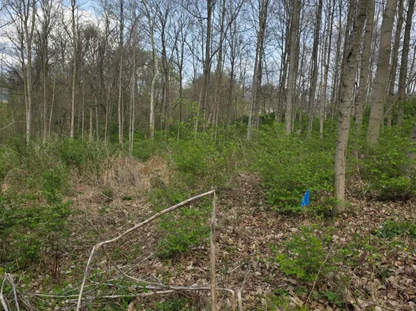 11965 Stone Mill Rd, Cincinnati, OH 45251