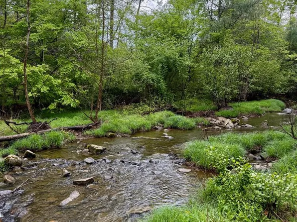 Lots 1 & 2 Trout Run Rd, Wardensville, WV 26851