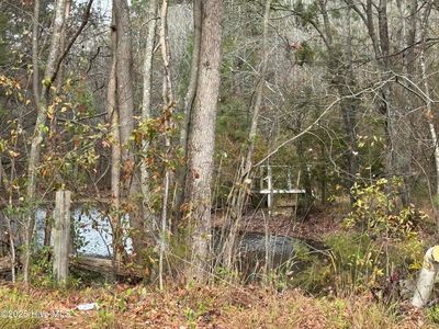 0 Boyd Lake Road, Hamlet, NC, 28345