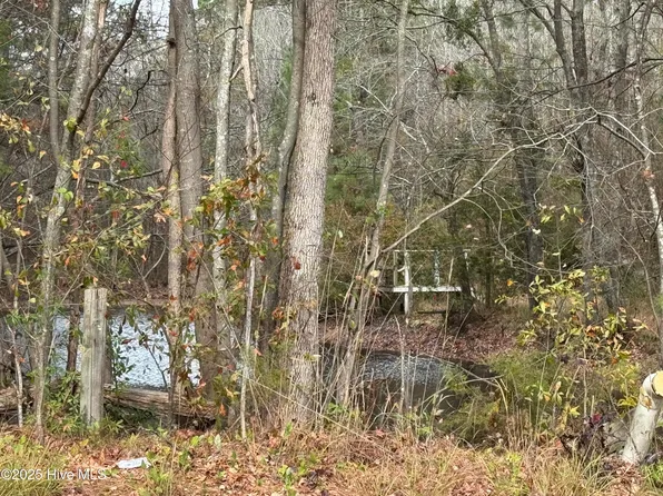 0 Boyd Lake Road, Hamlet, NC 28345