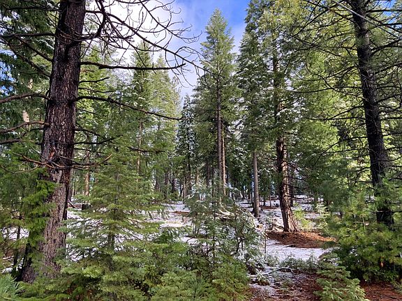 5th image of 0 McCumber Lake Rd