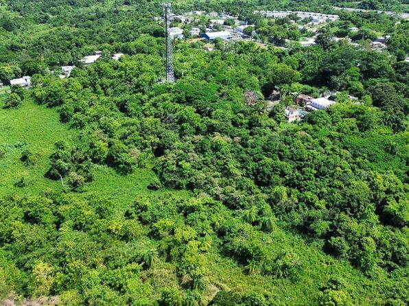 0 Cienaga Baja, Rio Grande, PR 00745