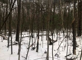 4300 Brott Rd, North Street, MI 48049