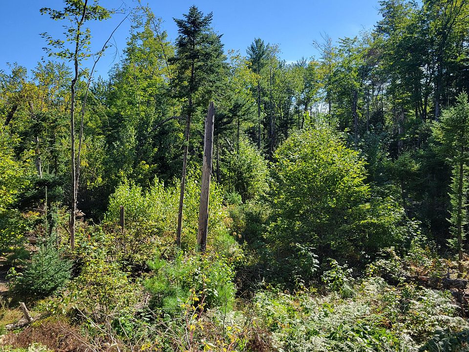 2nd image of 20B Smith Road