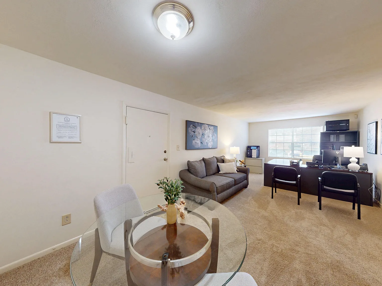 Apollo Apartments — Photo 3