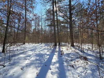 Off Clear Lake Road Acres #40, Elcho, WI, 54428