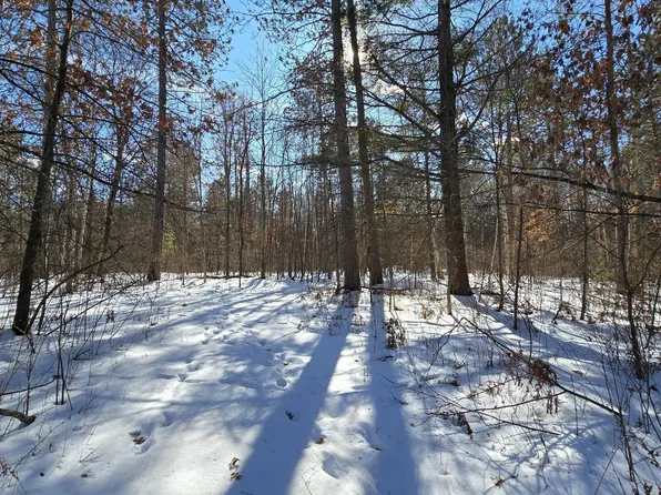 Off Clear Lake Road Acres #40, Elcho, WI 54428