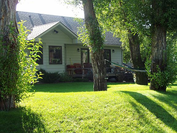 Tall shade trees creekside