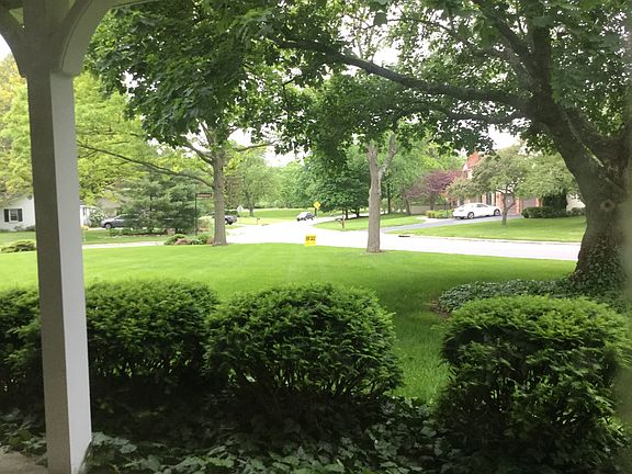 View from front window