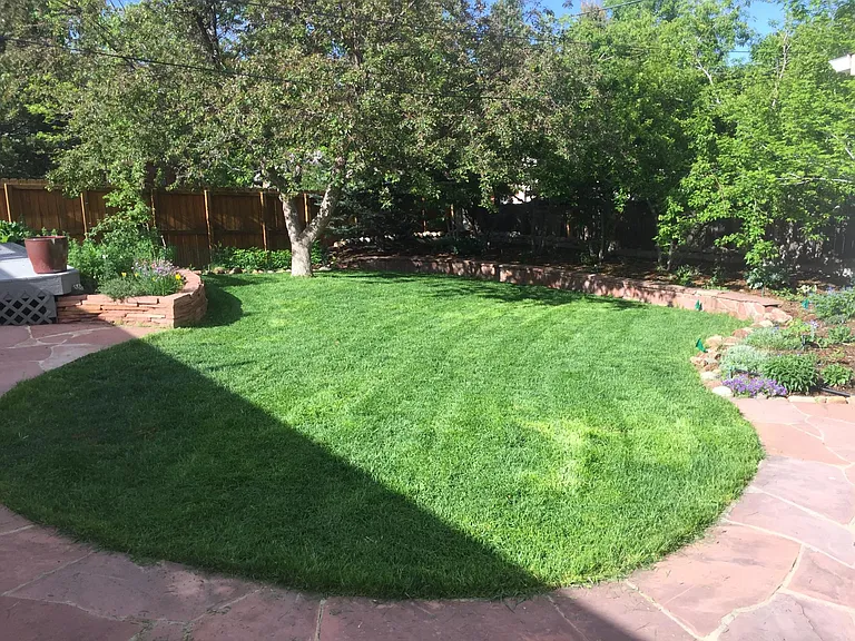 Incredible rear yard with beautiful landscaping and custom Sandstone patio