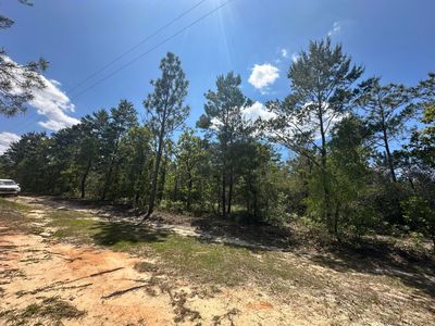 Xx Daffodil Ct, Mossy Head, FL, 32434