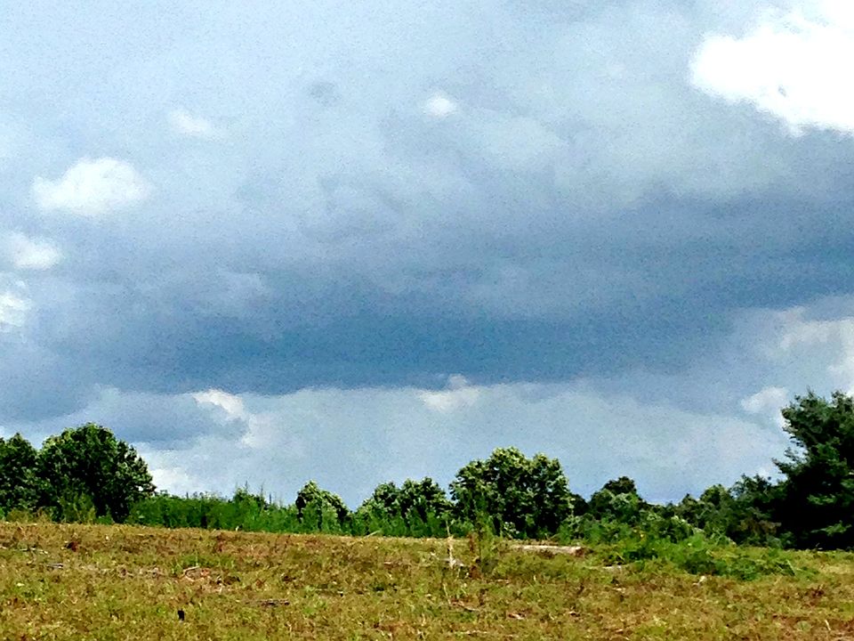2nd image of 1224 Sims Branch Rd