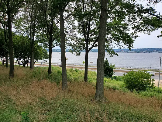 Rented by NYC Realty Brokers LLC | media 19