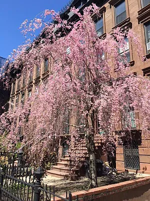 Rented by Dwell Residential Inc | media 16