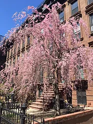 Rented by Dwell Residential Inc