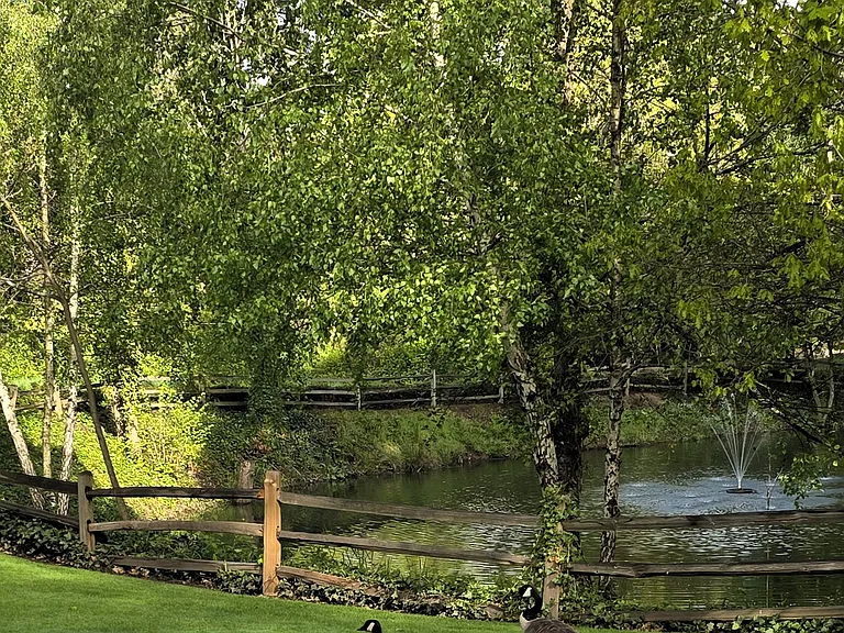 Crystal Lake — Photo 45