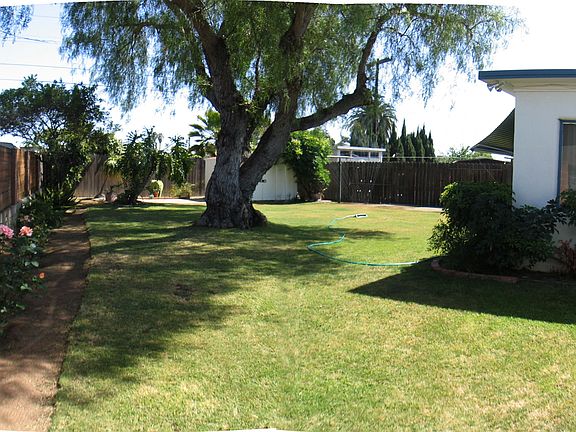back yard