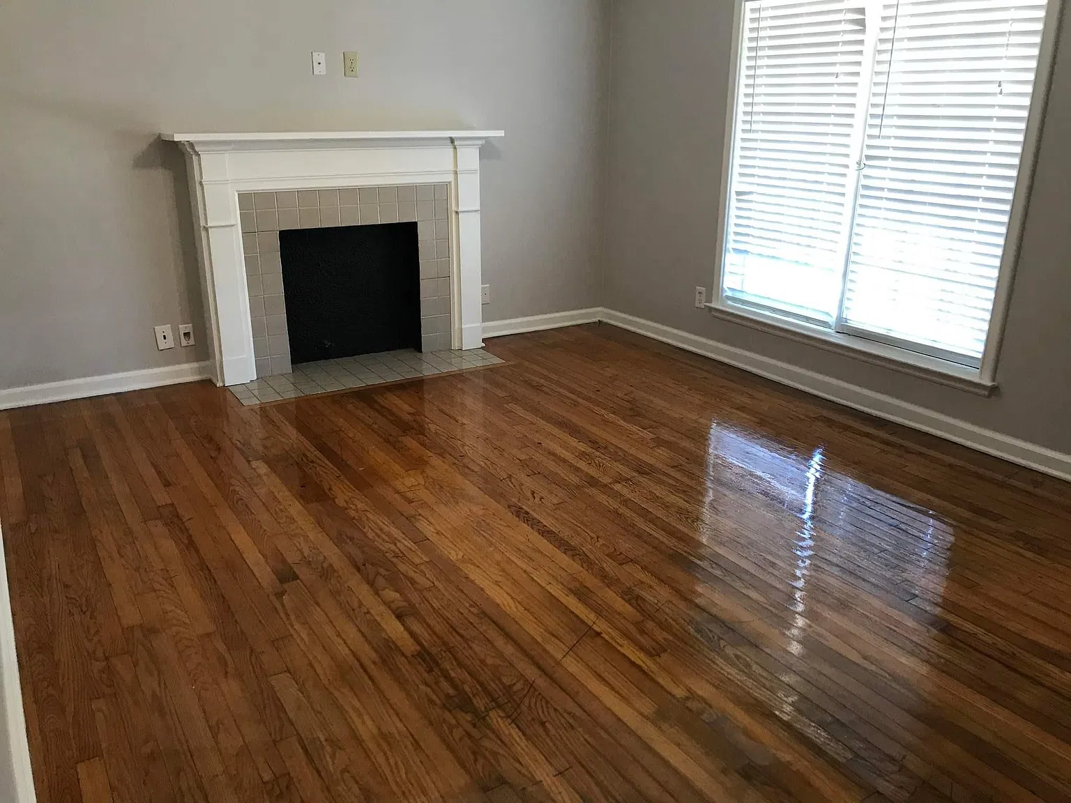 2 bed, 919 sqft, $950 — Photo 2