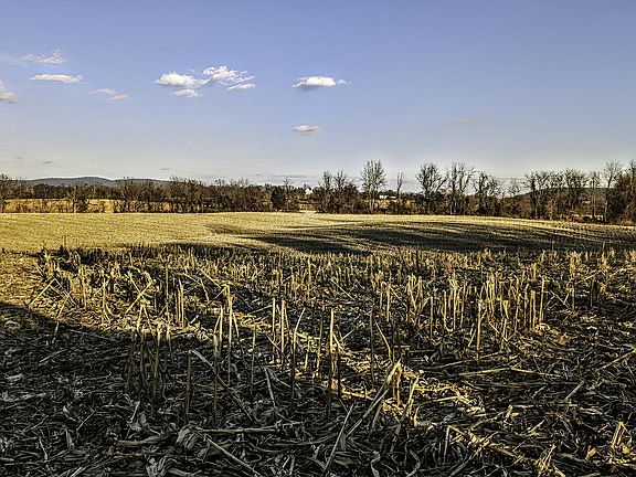 3rd image of 40455 Quarter Branch Rd